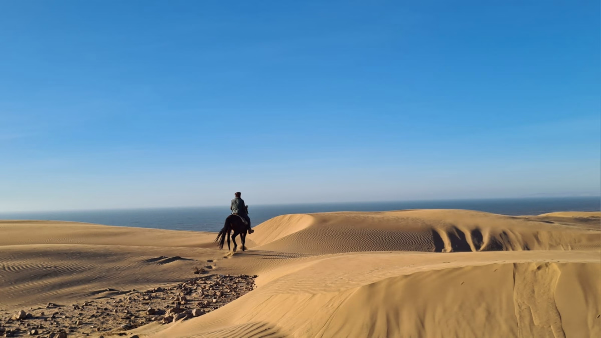 Voyage à cheval - Randonnée équestre au Maroc : la Chevauchée au cœur d\'Essaouira