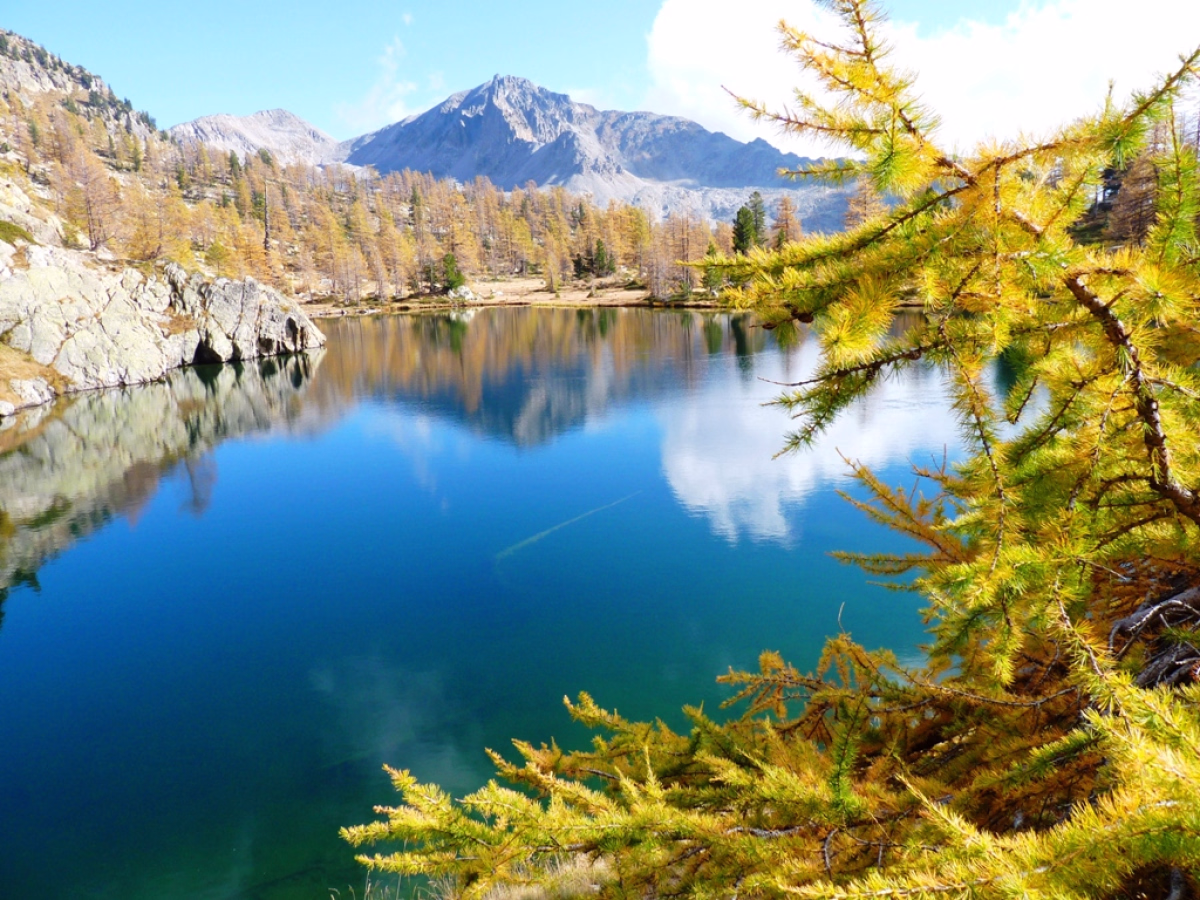 Voyage en Haute Montagne - Randonnée nature dans le Mercantour, entre faune et sommets