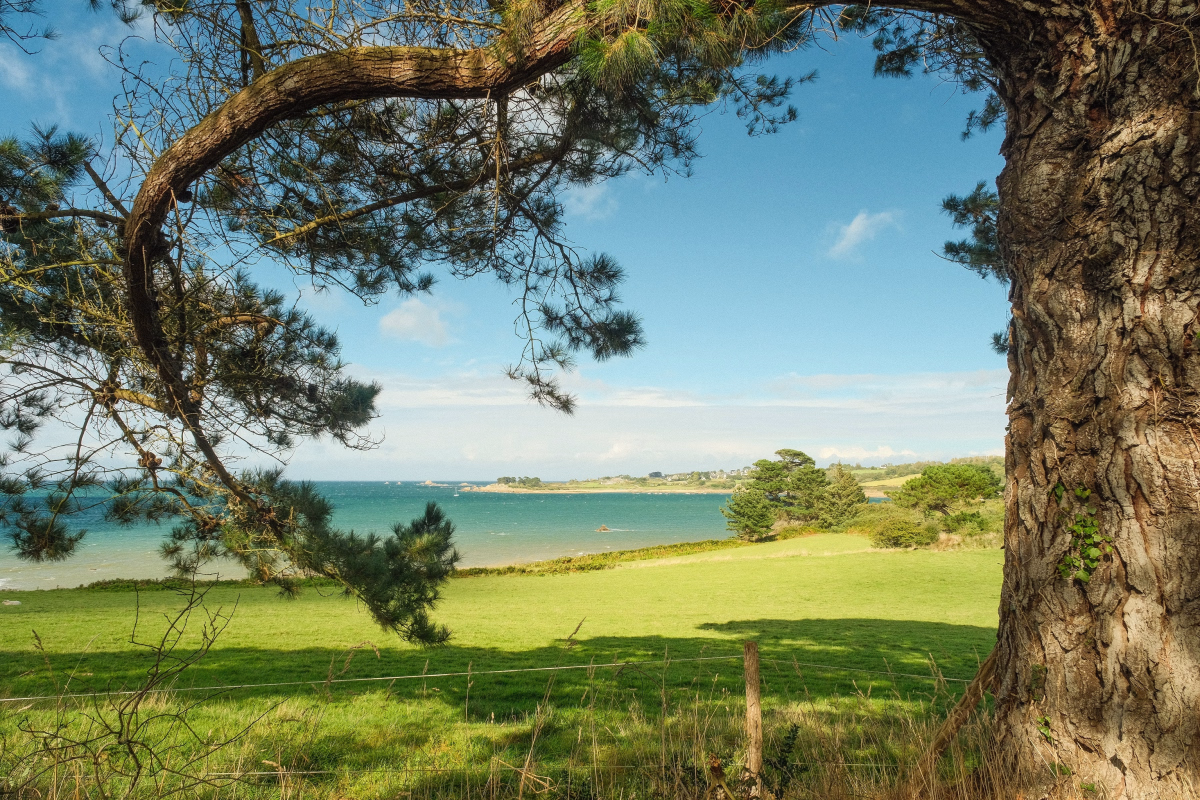 Randonnée bretonne entre falaises et légendes du Trégor