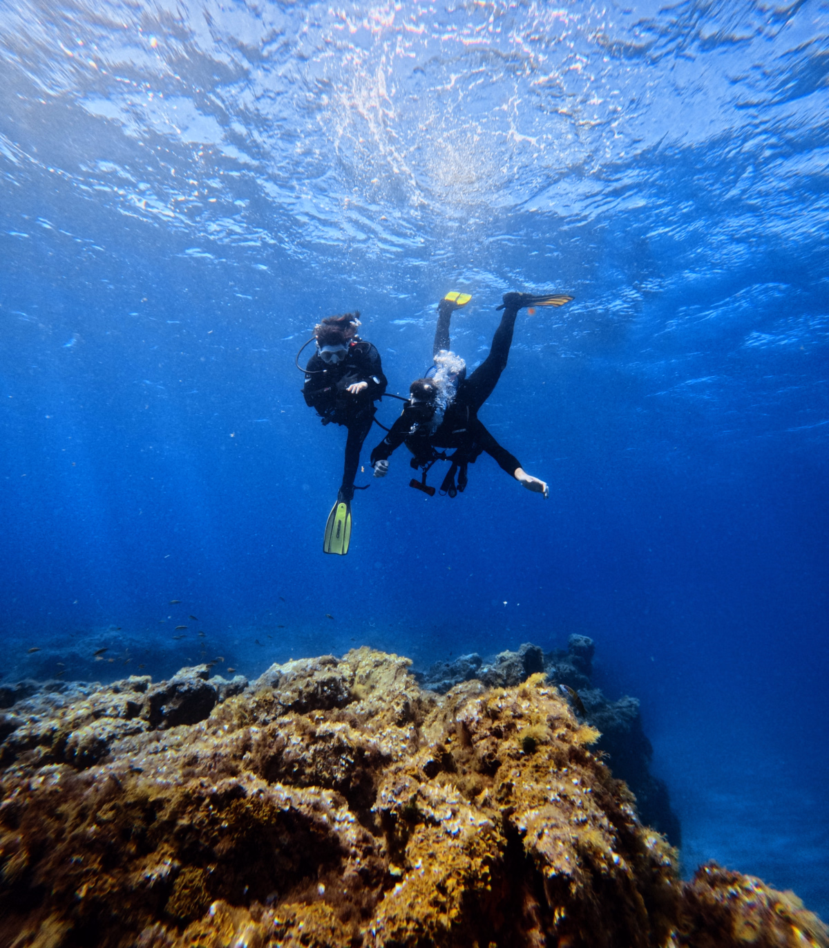 Trek - Apprenez la plongée sous-marine à Tenerife : formation Open Water