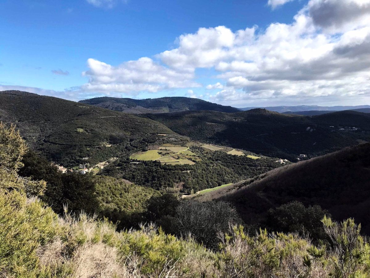 Trail - Découverte du trail en Haut-Languedoc : débutants à experts