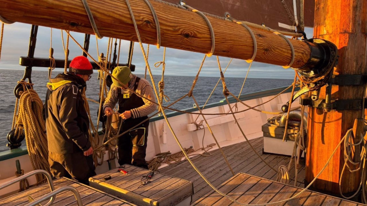 Exploration à bord d'un voilier - Cap sur les Lofoten