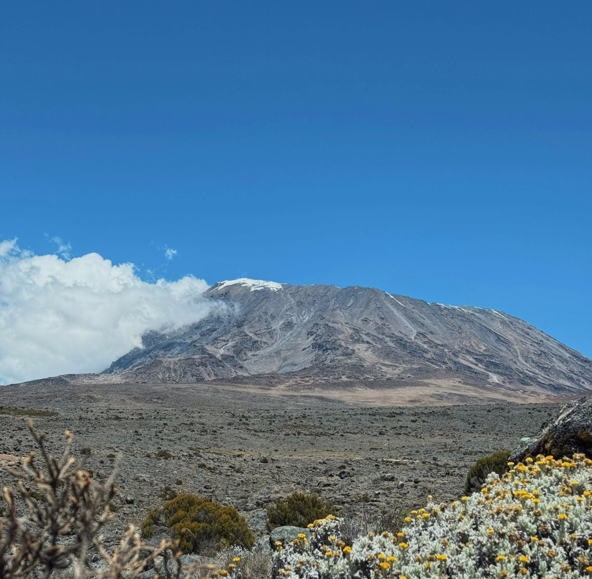 Voyage en Haute Montagne - Ascension du Kilimandjaro par la sauvage route d\'Umbwe en tout inclus
