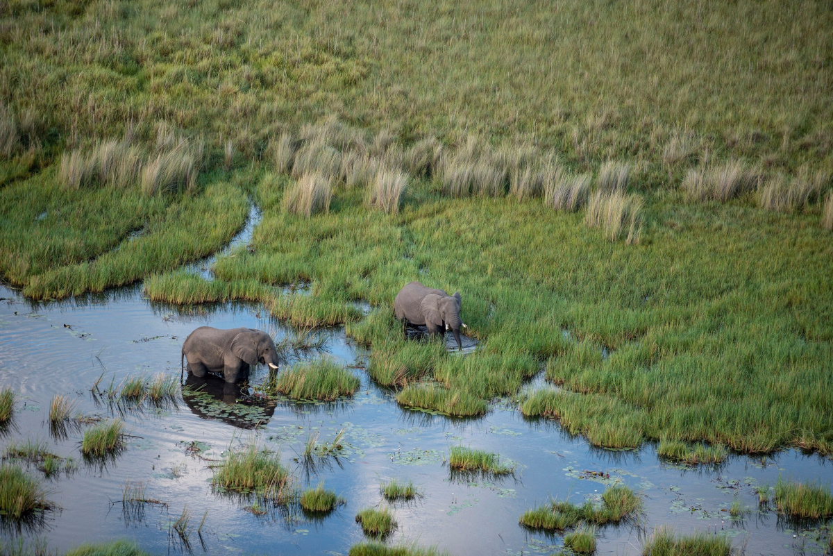 Yoga et randonnée bien-être au cœur du Kenya sauvage