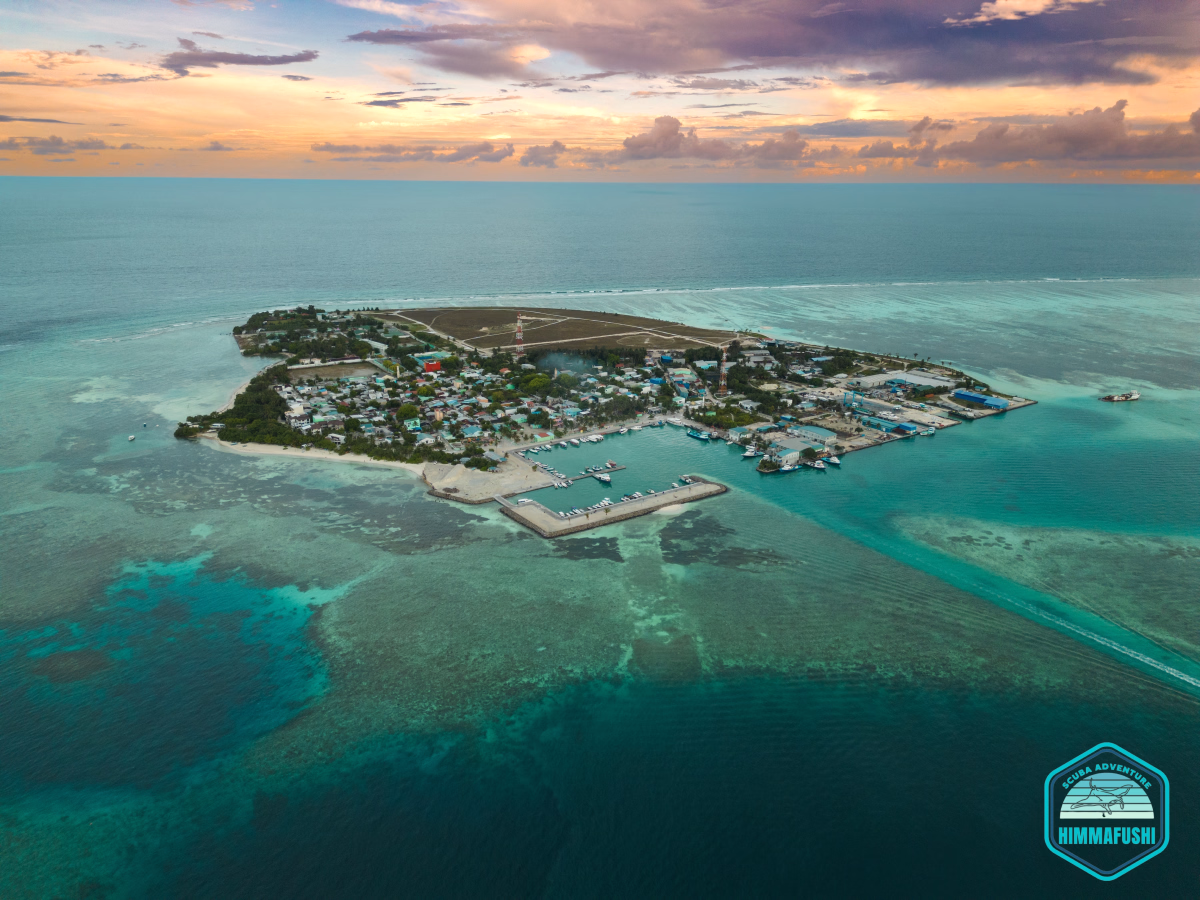 10 plongées aux Maldives sur l'île locale de Himmafushi