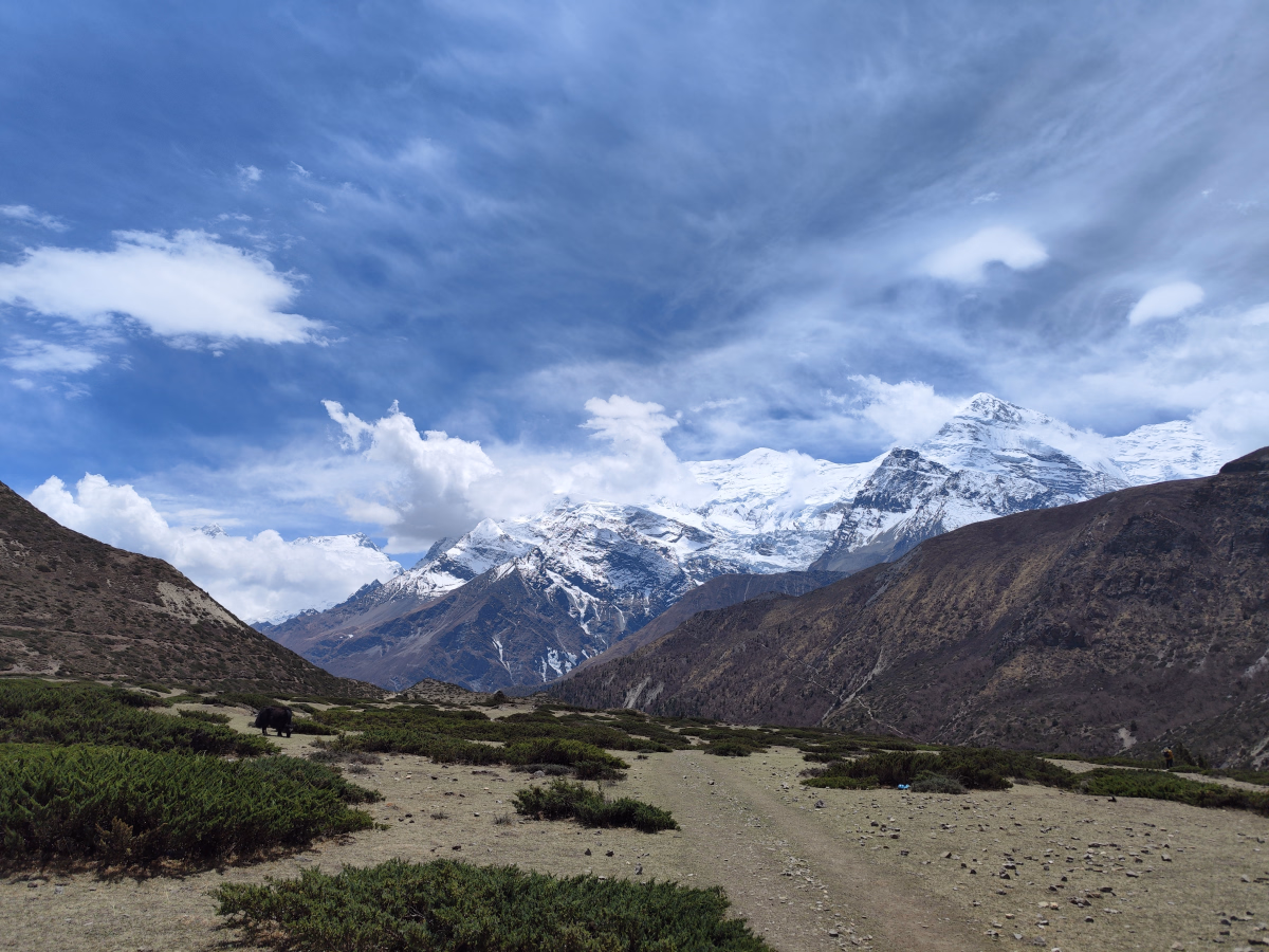 Trek au cœur de l'Annapurna et la vallée de Narphu