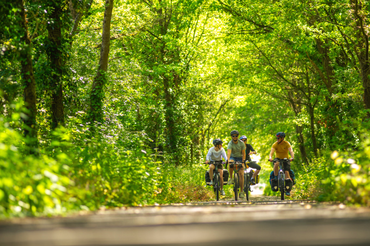 Voyage à vélo - À vélo entre Paris et Meaux, le long du canal et de la Marne