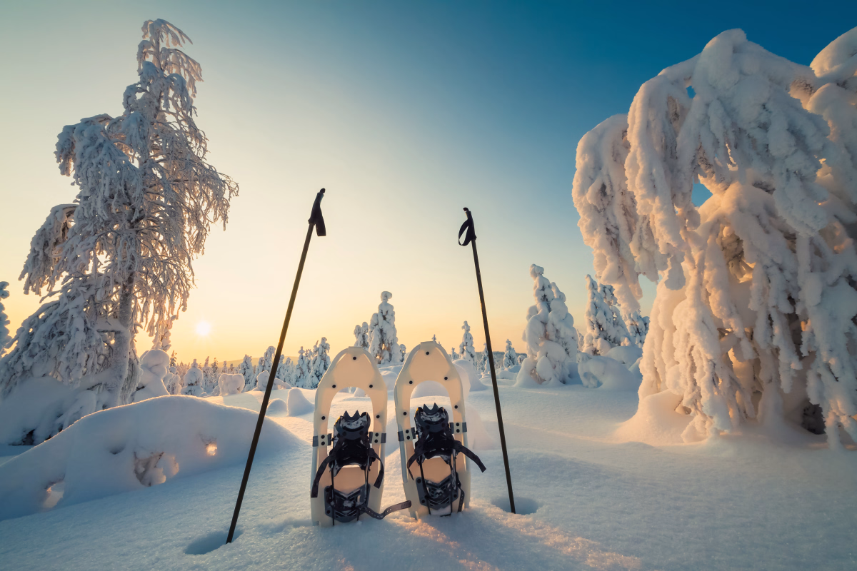 Laponie sensations : plaisirs et frissons du Grand Nord
