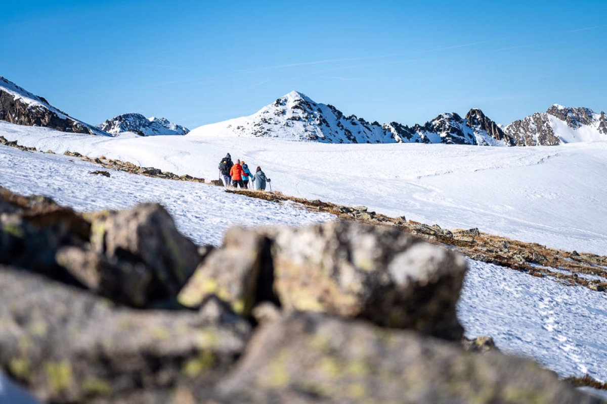Aventure dans les Pyrénées : Raquettes et nuit en refuge