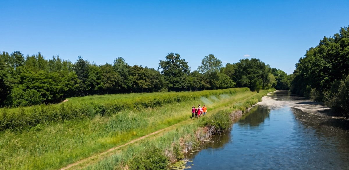 Voyage avec ânes - Petite randonnée familiale avec un âne en Bourgogne du Sud