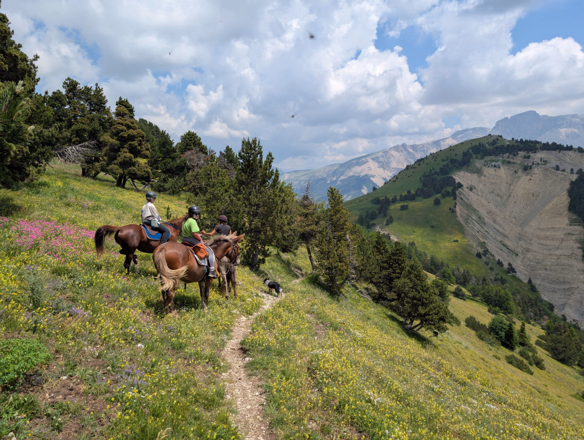 Voyage à cheval - Week-end à cheval sur les crêtes sauvages du Vercors