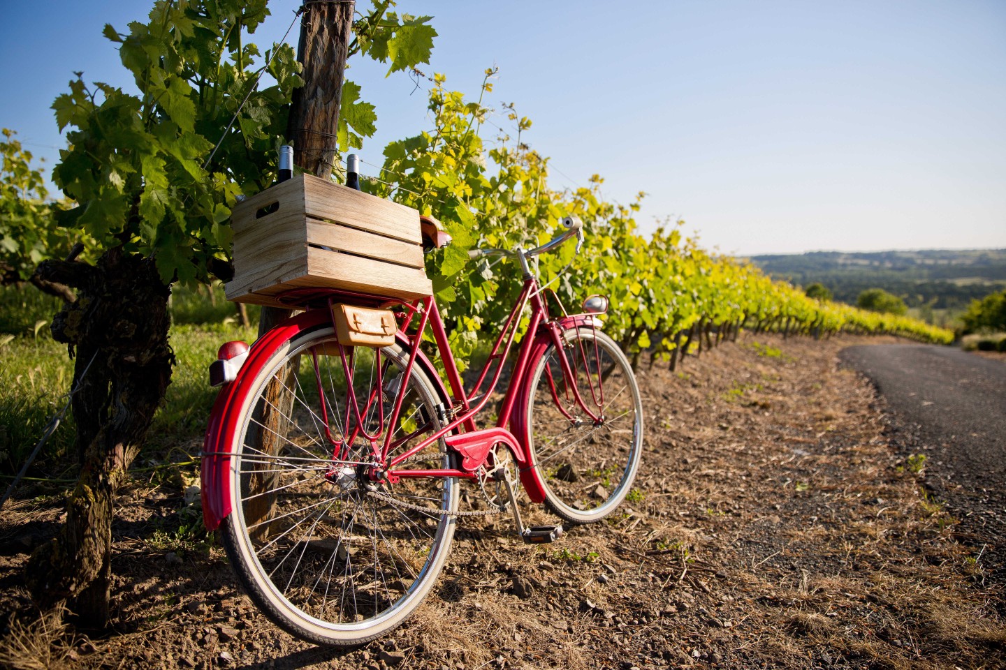 Séjour à vélo en Bourgogne pour la Saint-Valentin
