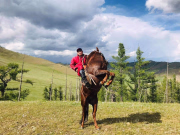 1 guide équestre / 4 client(e)s