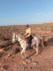 Brahim