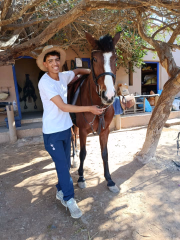 Abdellah