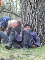 Chadraa, chef équestre