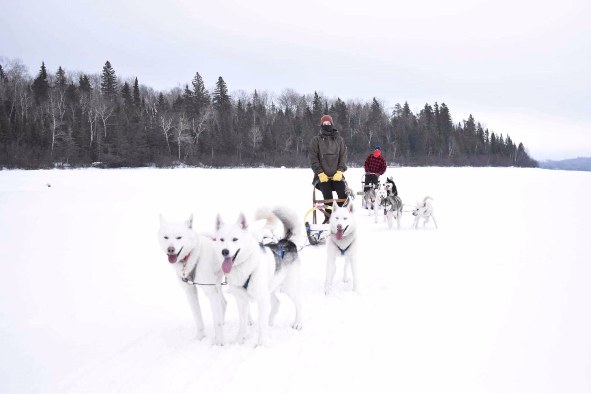 Nos séjours proposant de multiples activités en hiver en Amérique