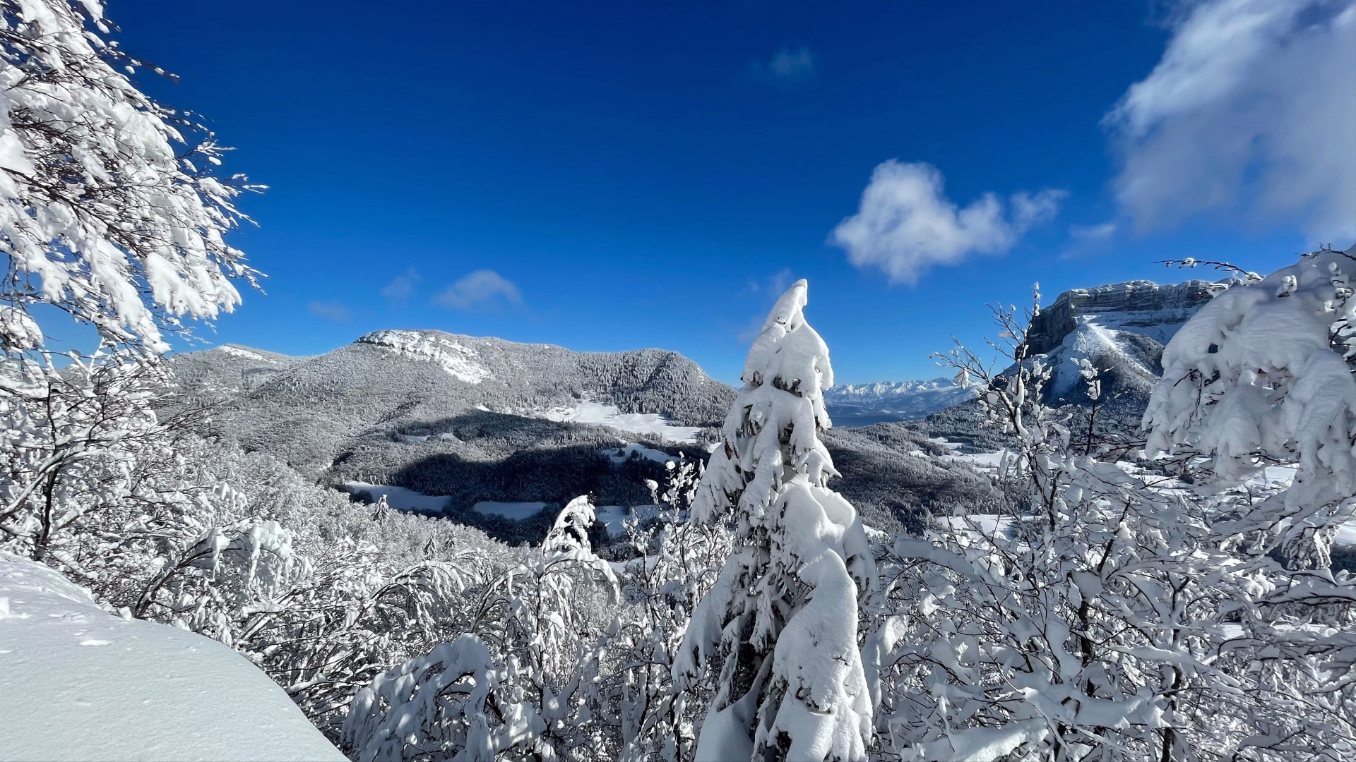 Neige et paysages de Chartreuse en raquettes