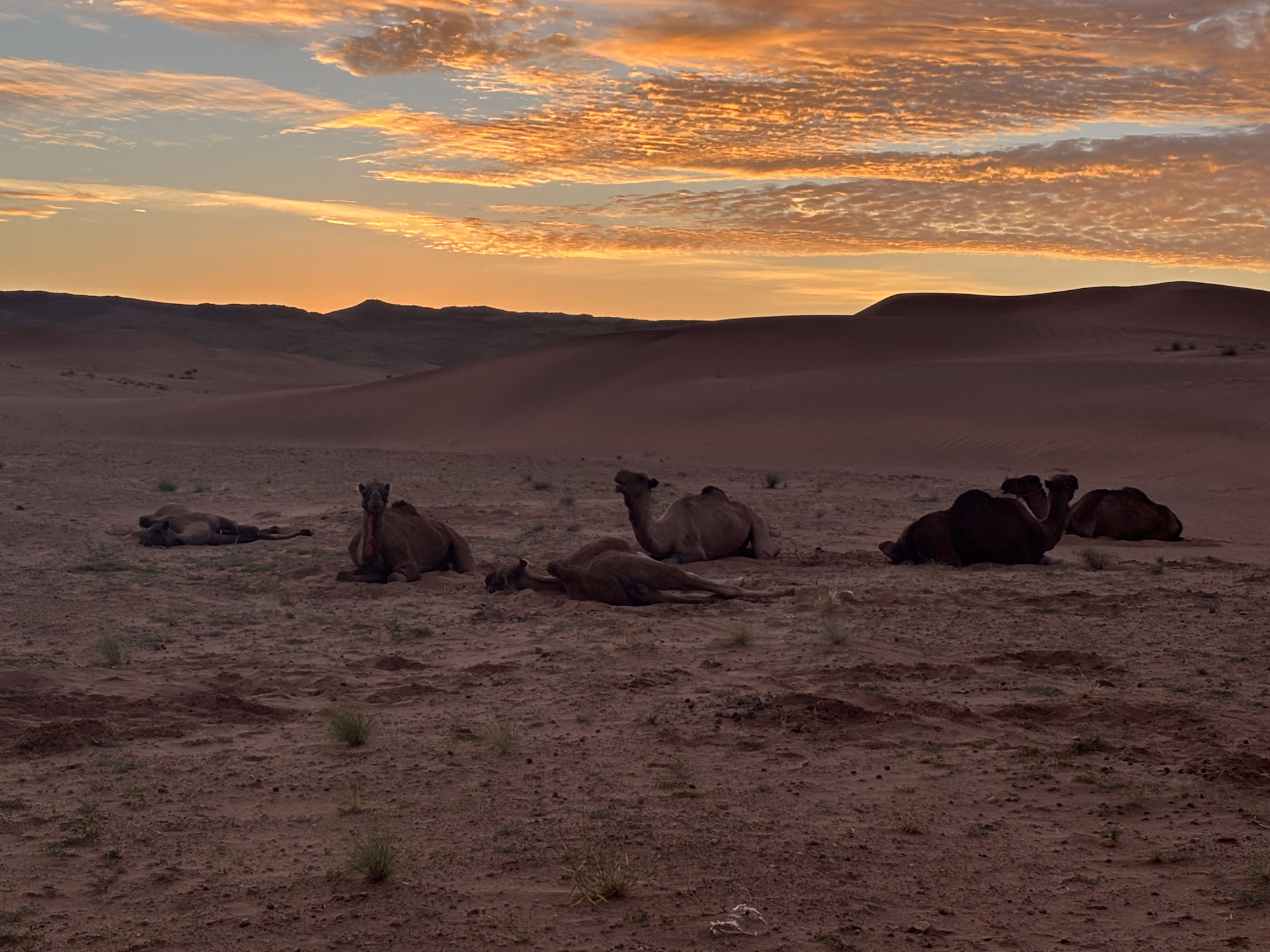 Photo pendant un trek dans le désert marocain