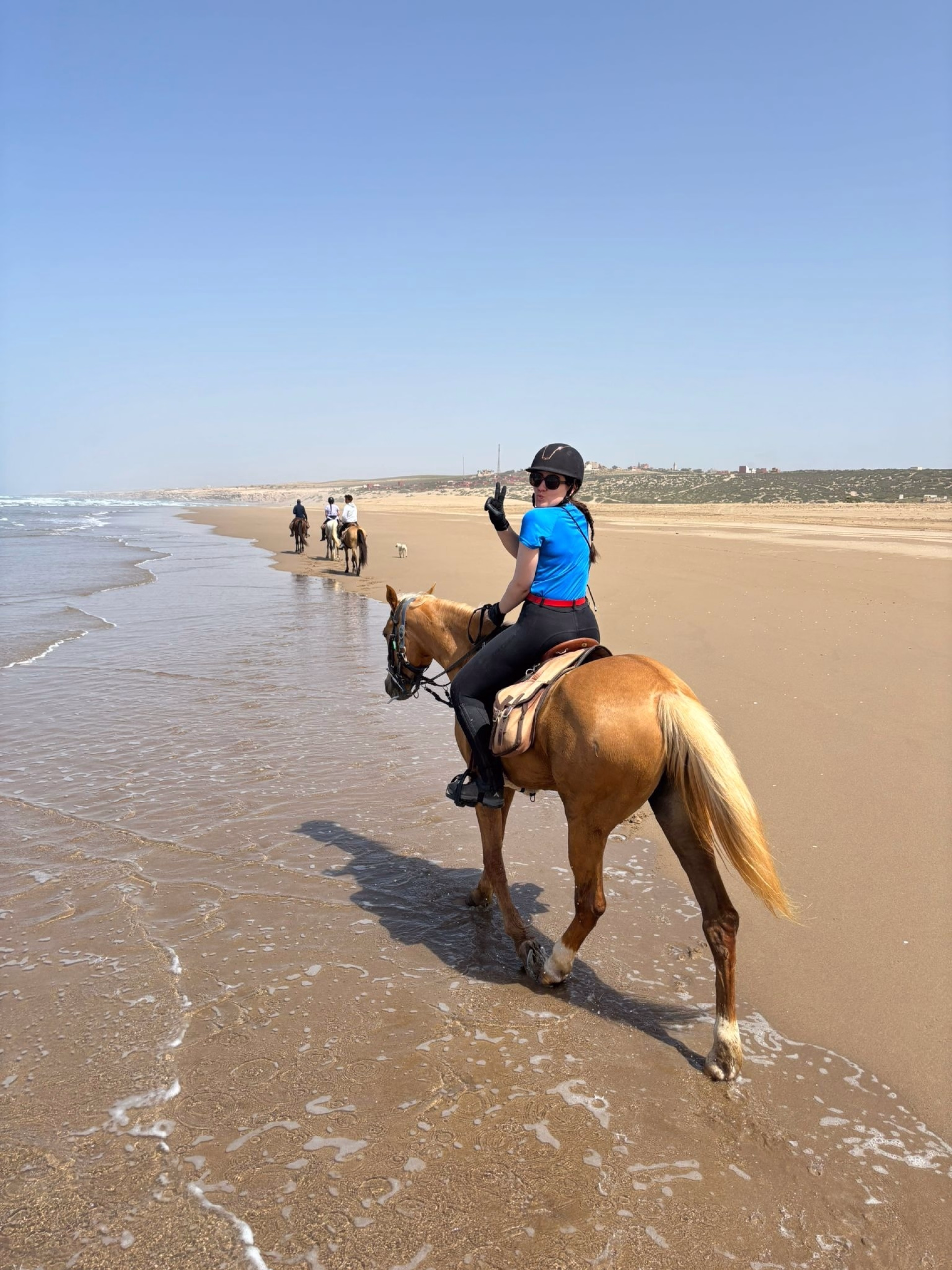 Le Grand Sud Marocain à Cheval : sur les Traces des Nomades Berbères