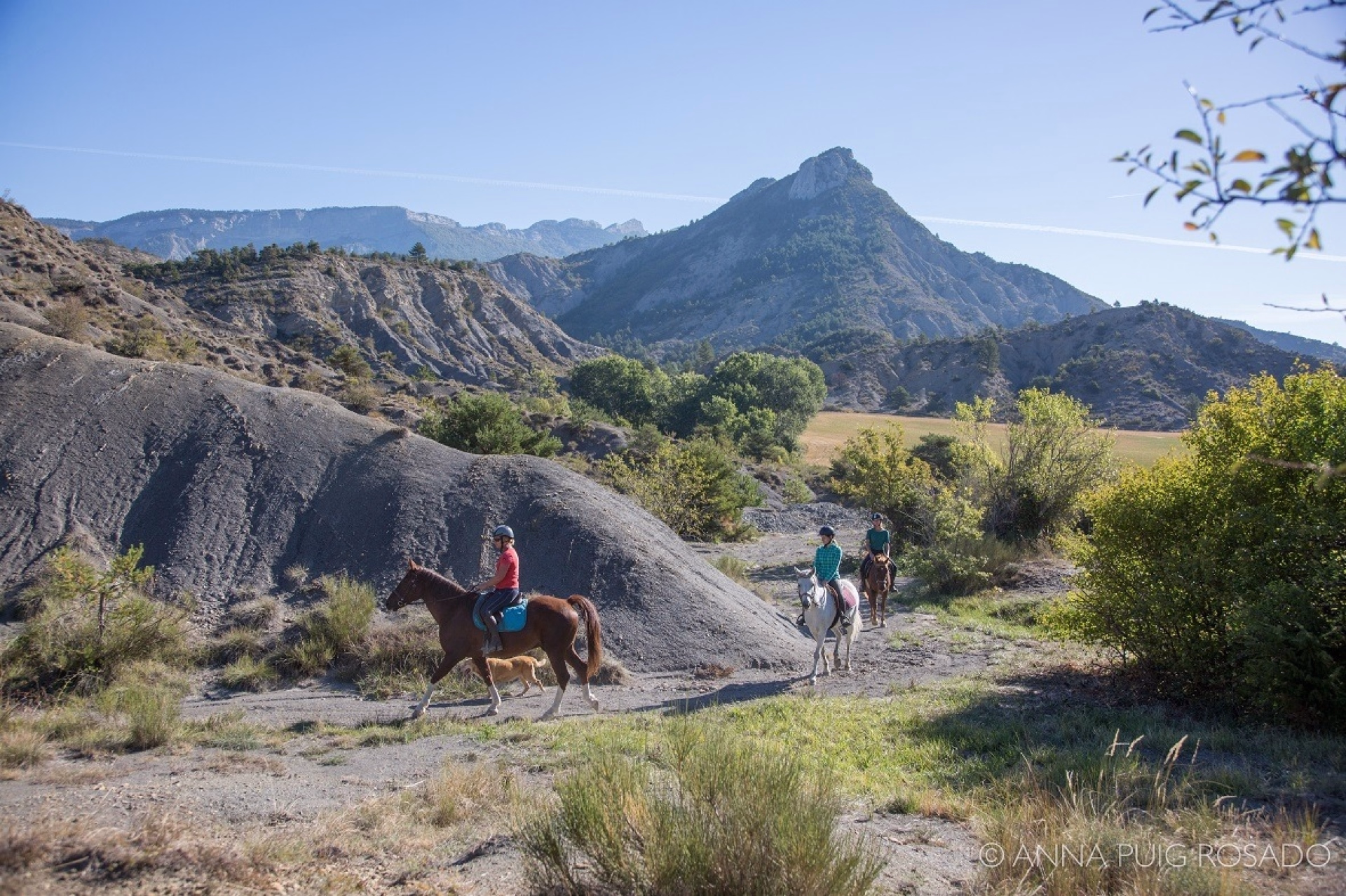 Les Baronnies provençales à cheval
