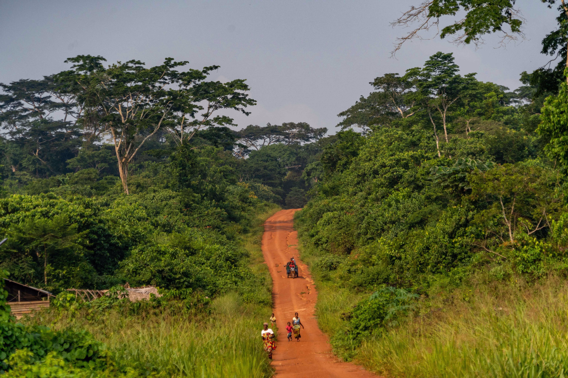 Expédition au coeur de la grande forêt du Congo