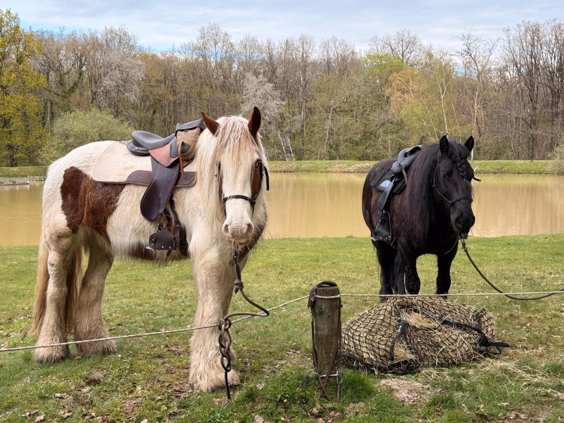 Randonnée à cheval de 2 jours avec Bivouac Royal