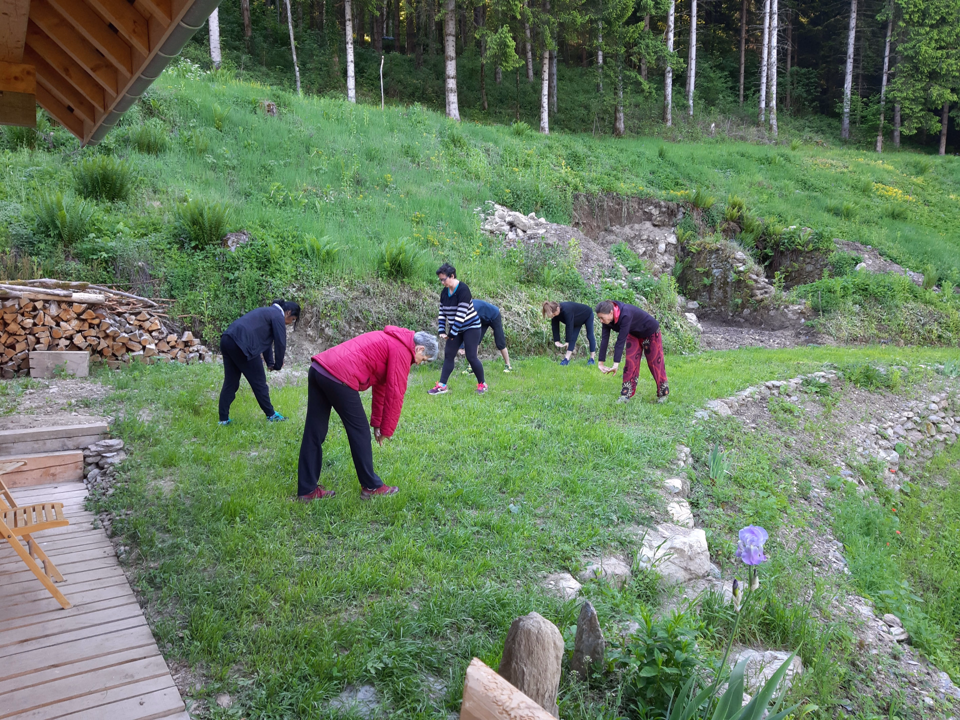 Stage Yoga d'Automne en Savoie - Stimuler son système immunitaire