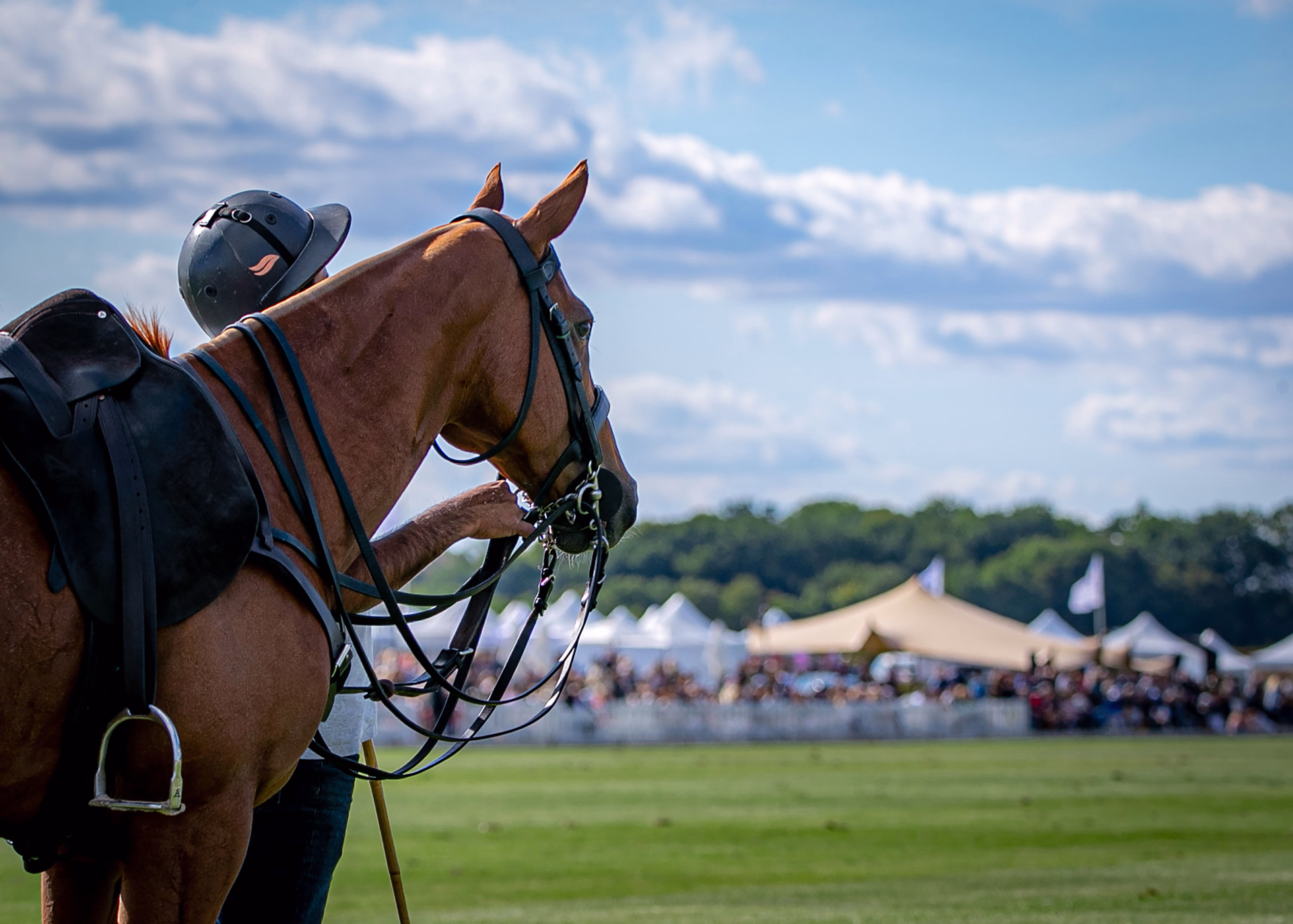 Stage d'initiation au polo à Chantilly