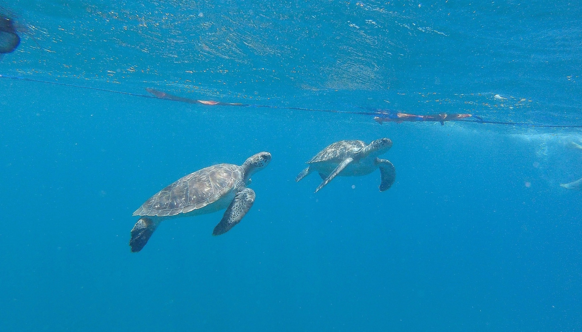 Les petits explorateurs du Cap-Vert : voyage en famille