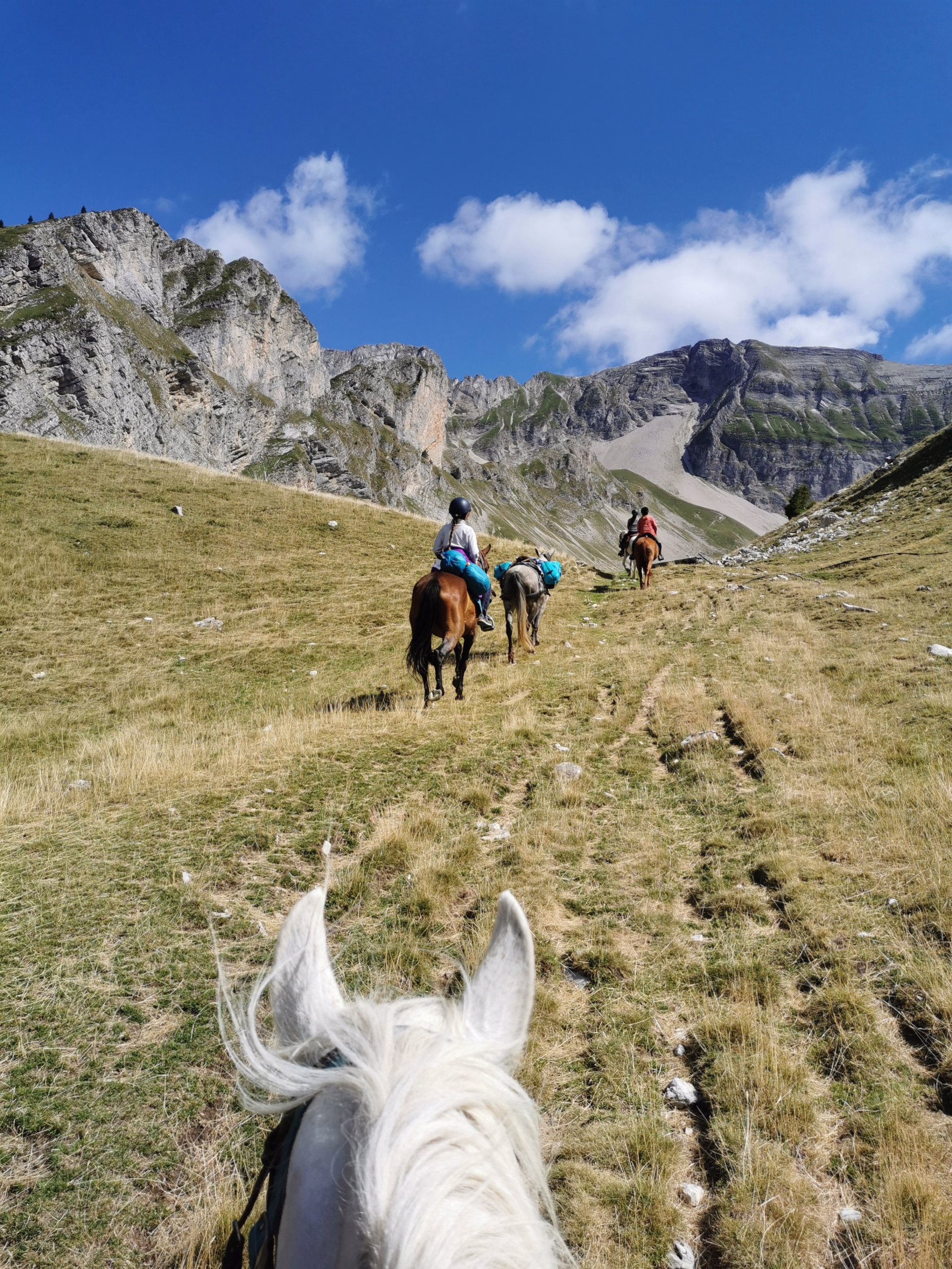 Randonnée équestre et bivouac sauvage dans le Dévoluy