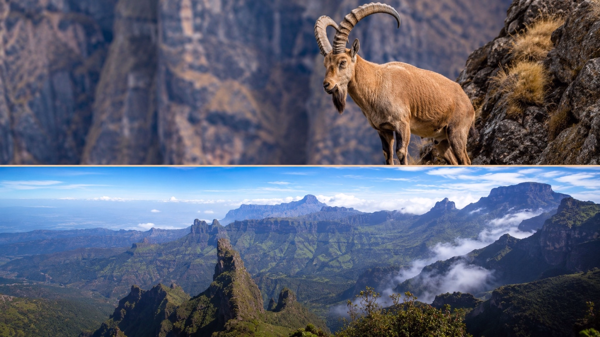 Aventure dans le nord de l'Éthiopie : les montagnes du Simien