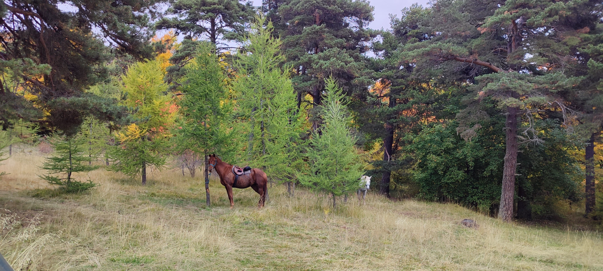 Tour des Monges à cheval