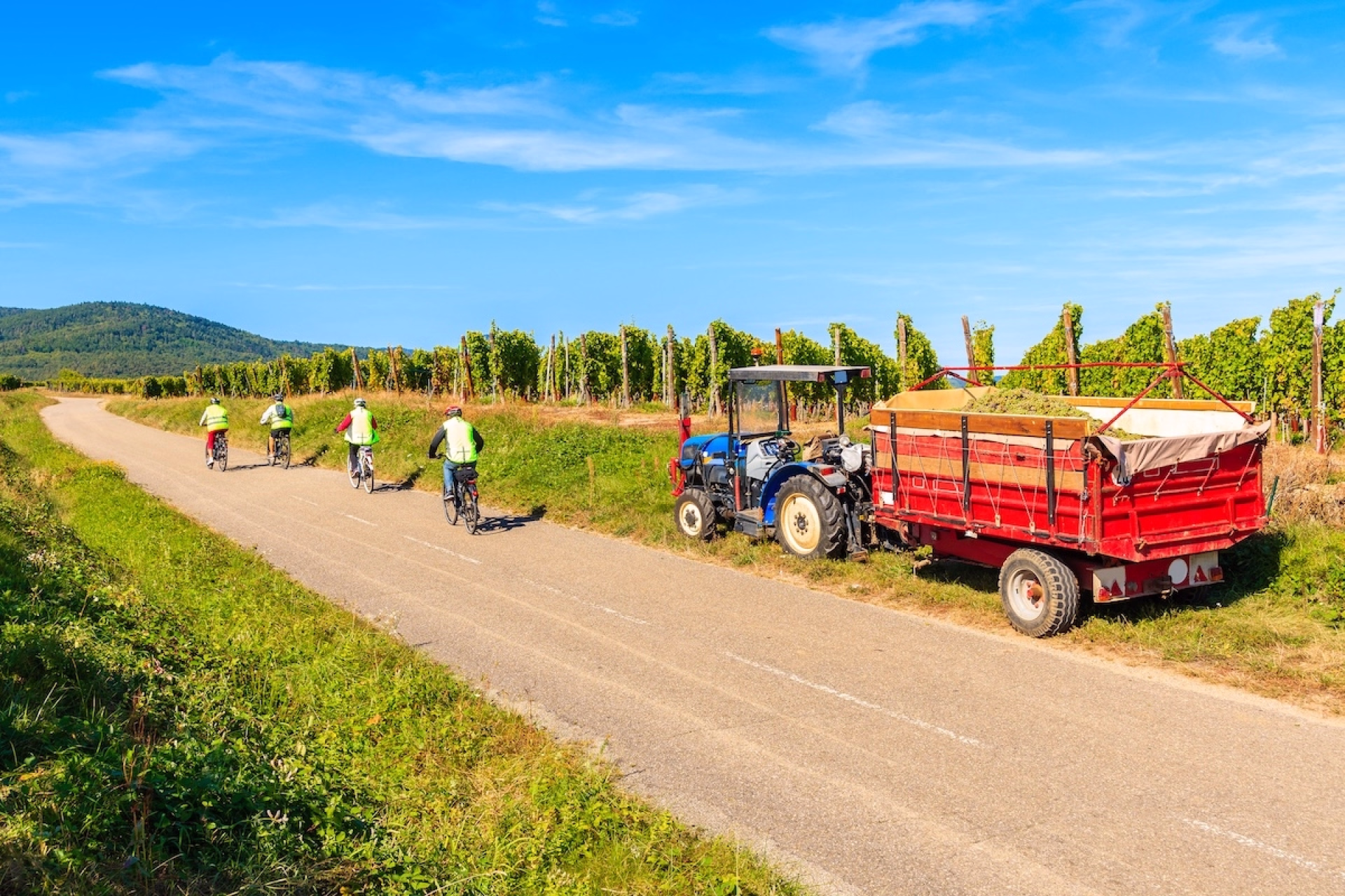 De Strasbourg à Colmar à vélo entre vignobles et villages alsaciens