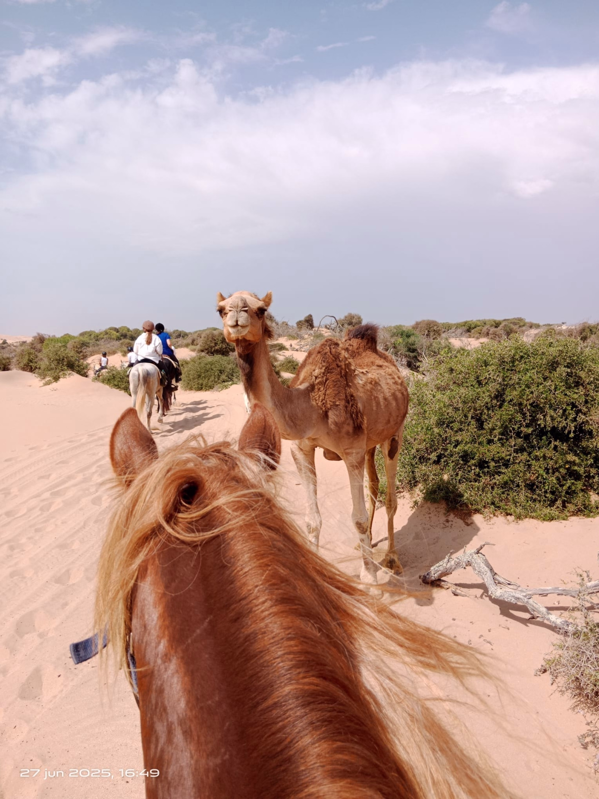 La Boucle d'Iftane - Randonnée équestre à Essaouira