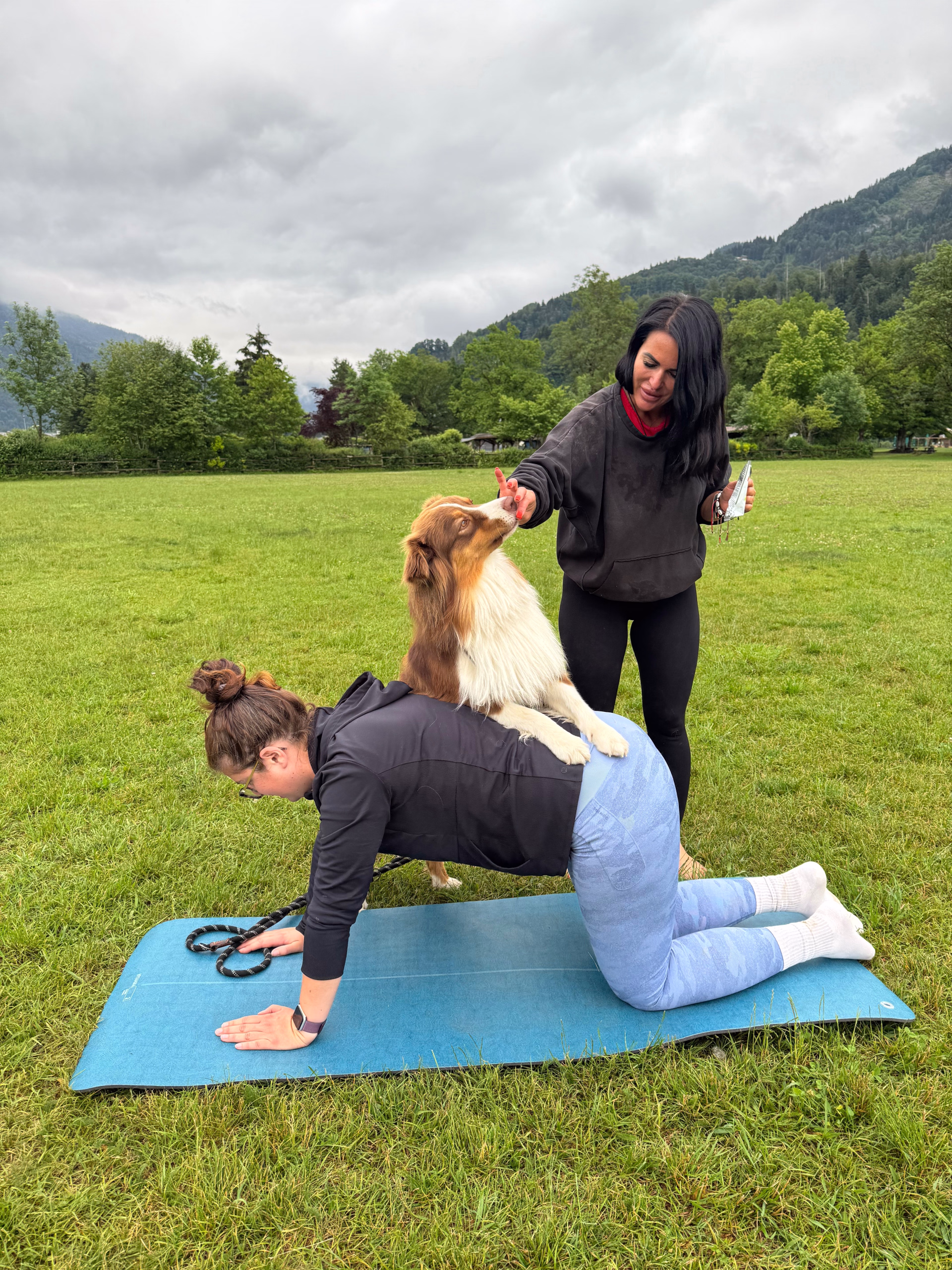 Séjour randonnée et doga en Haute-Savoie avec votre chien