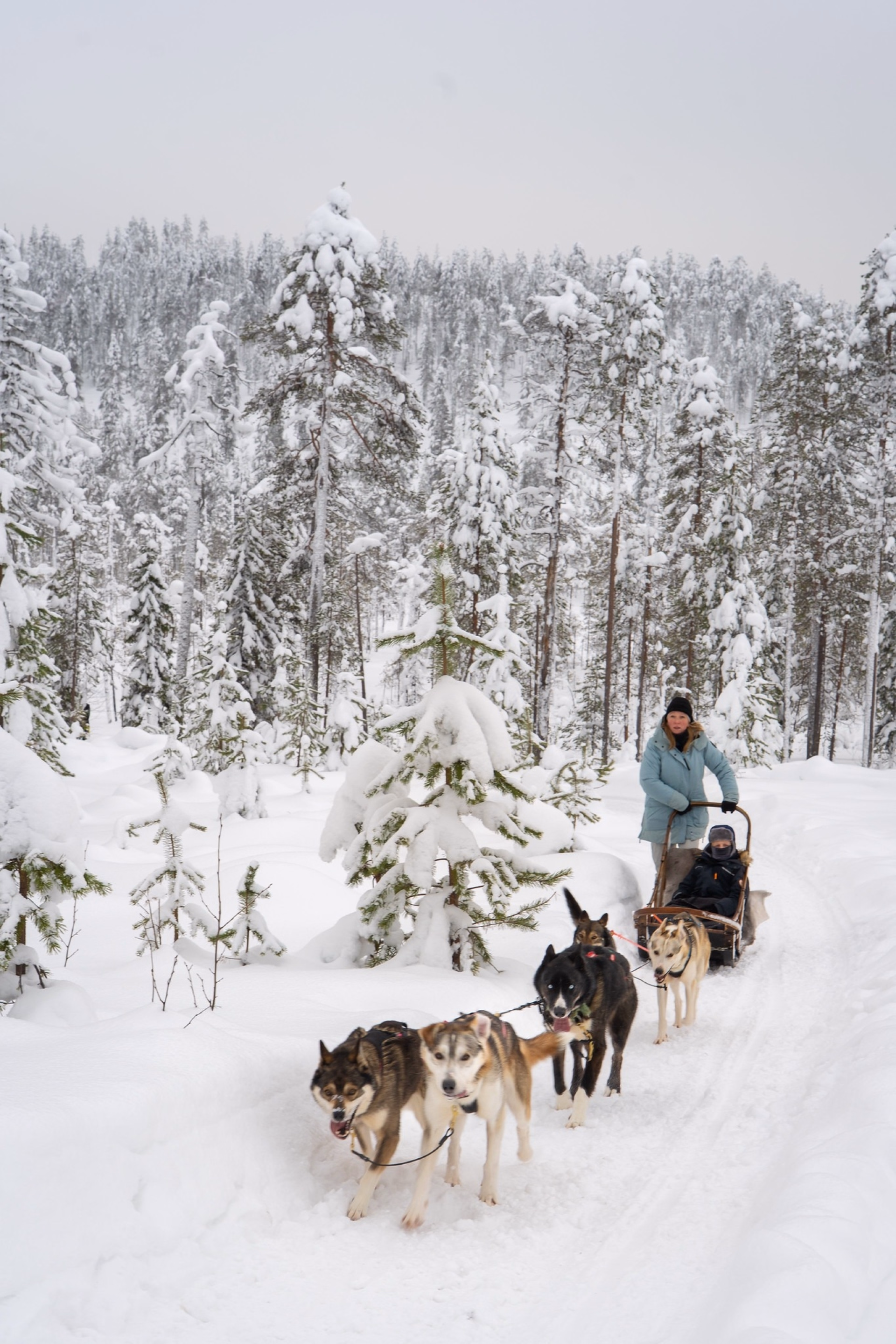 Séjour intimiste en immersion au coeur de la Laponie Finlandaise