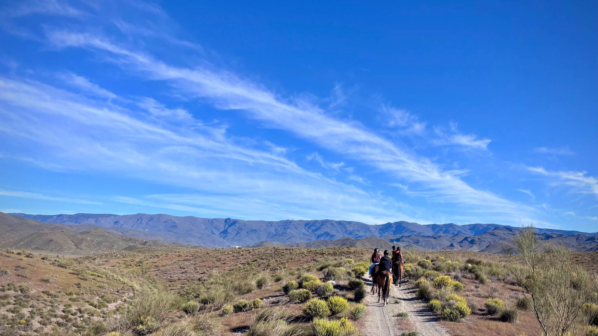 Randonnée équestre dans le désert de Tabernas