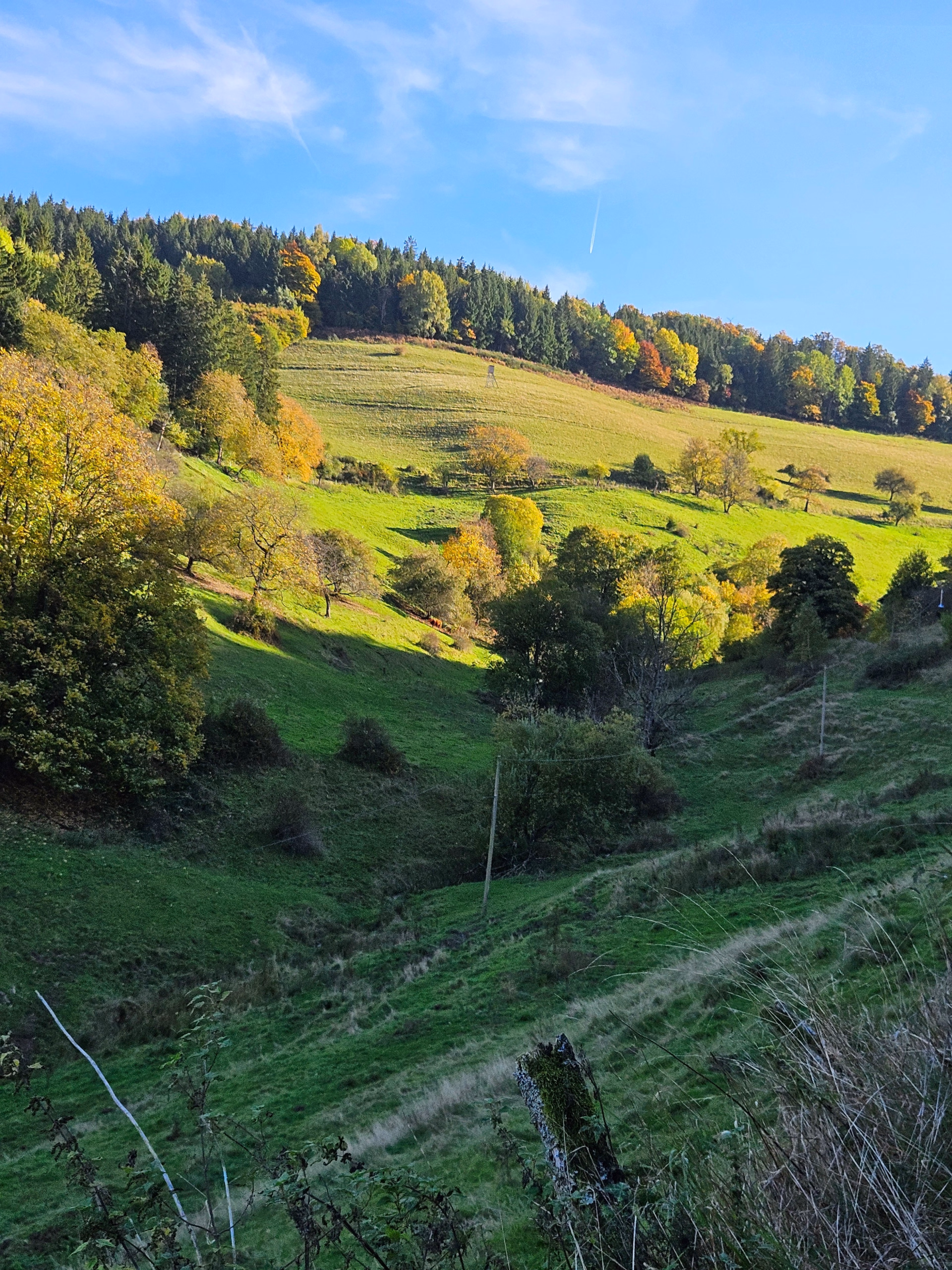 Week-end équestre dans les Vosges