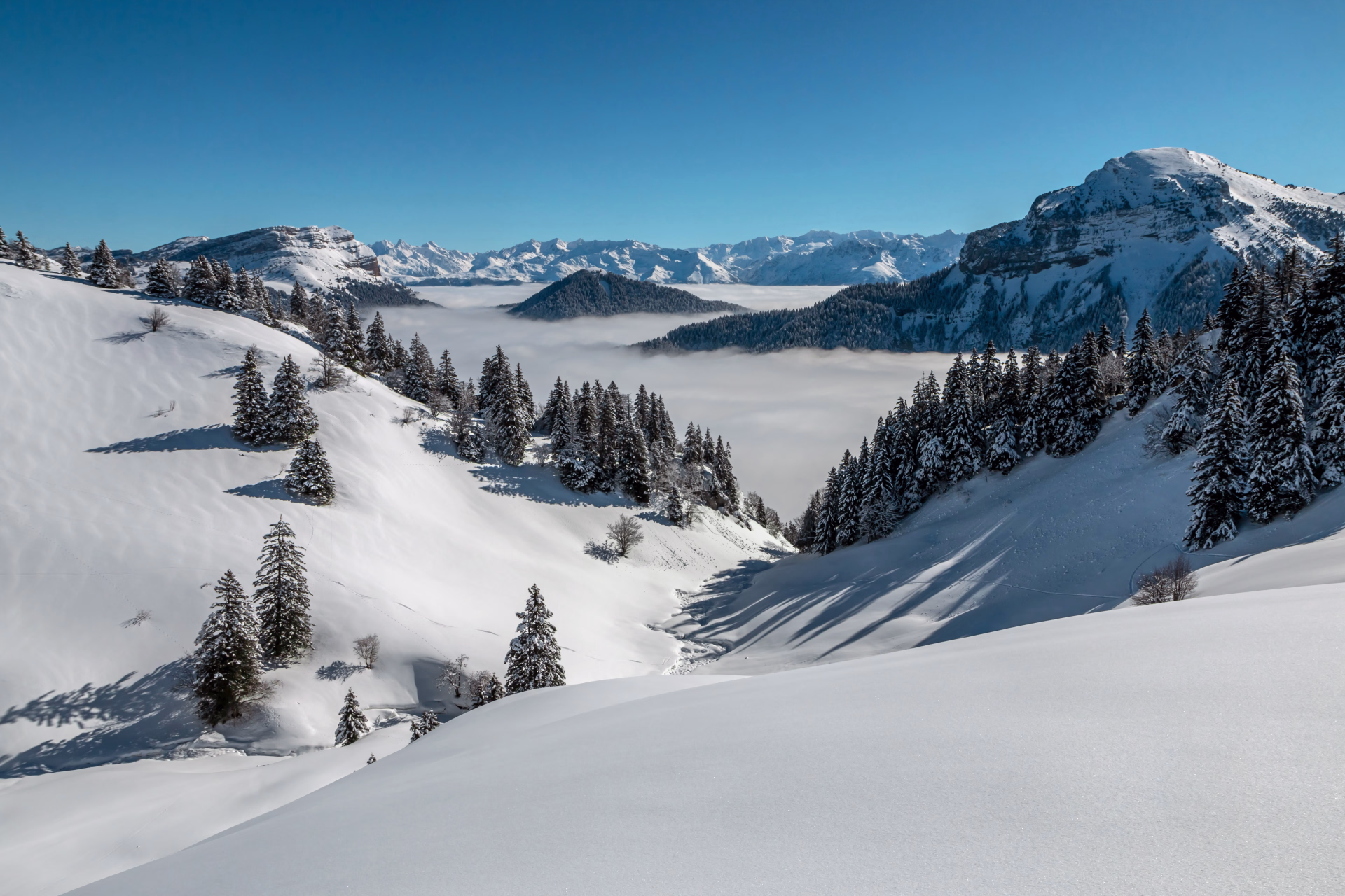 Tour de la Chartreuse en raquettes à neige de gîte en gîte