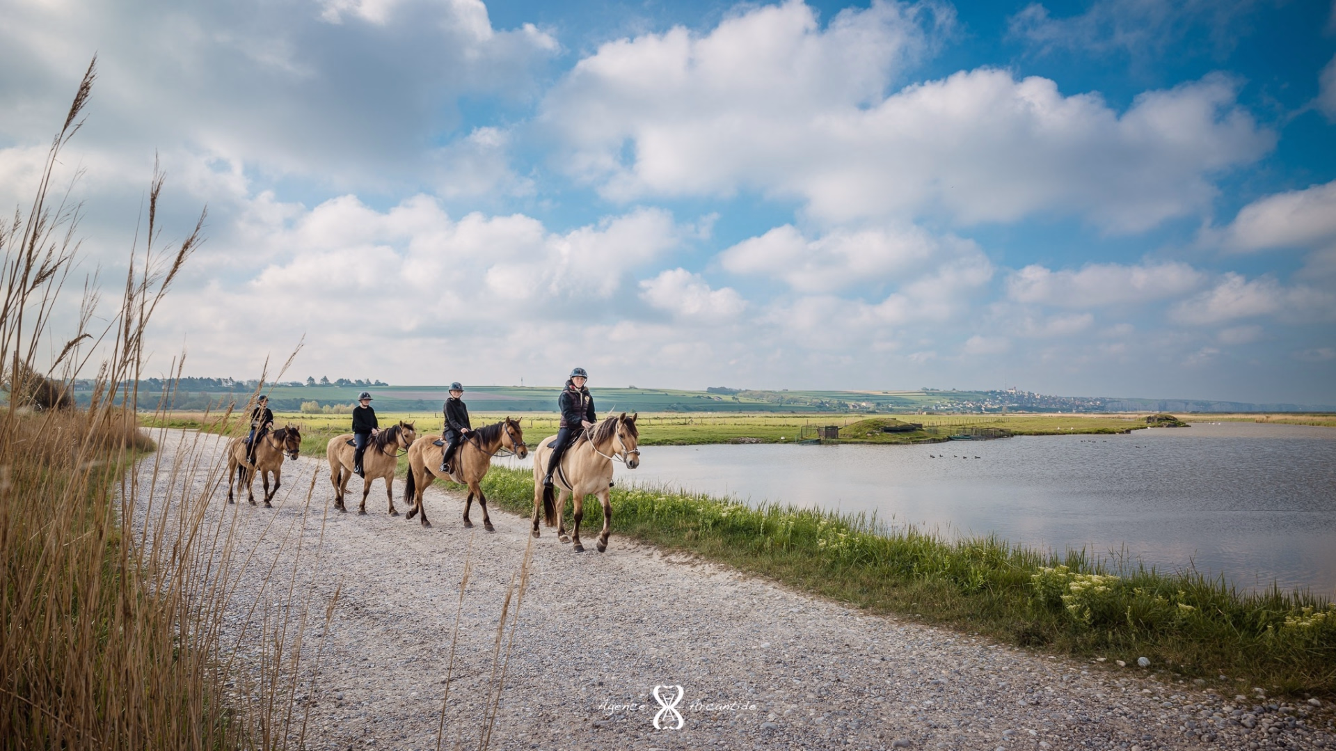 Randonnée à cheval en Baie de Somme