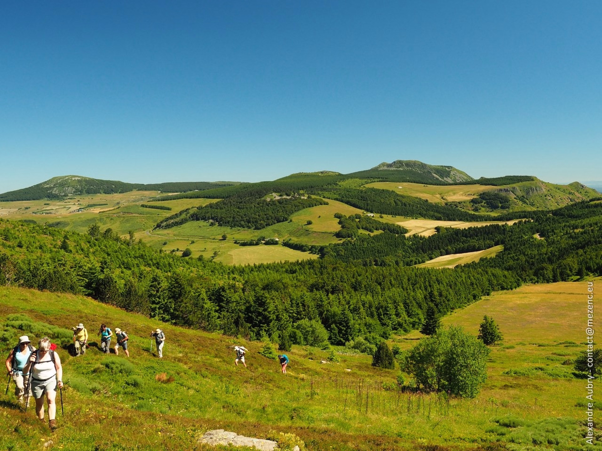 Randonnées volcaniques au cœur du massif Mézenc-Gerbier