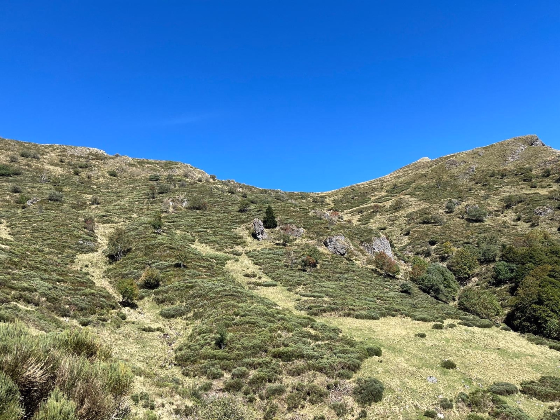 Randonnées pédestres sur le grand volcan du Cantal
