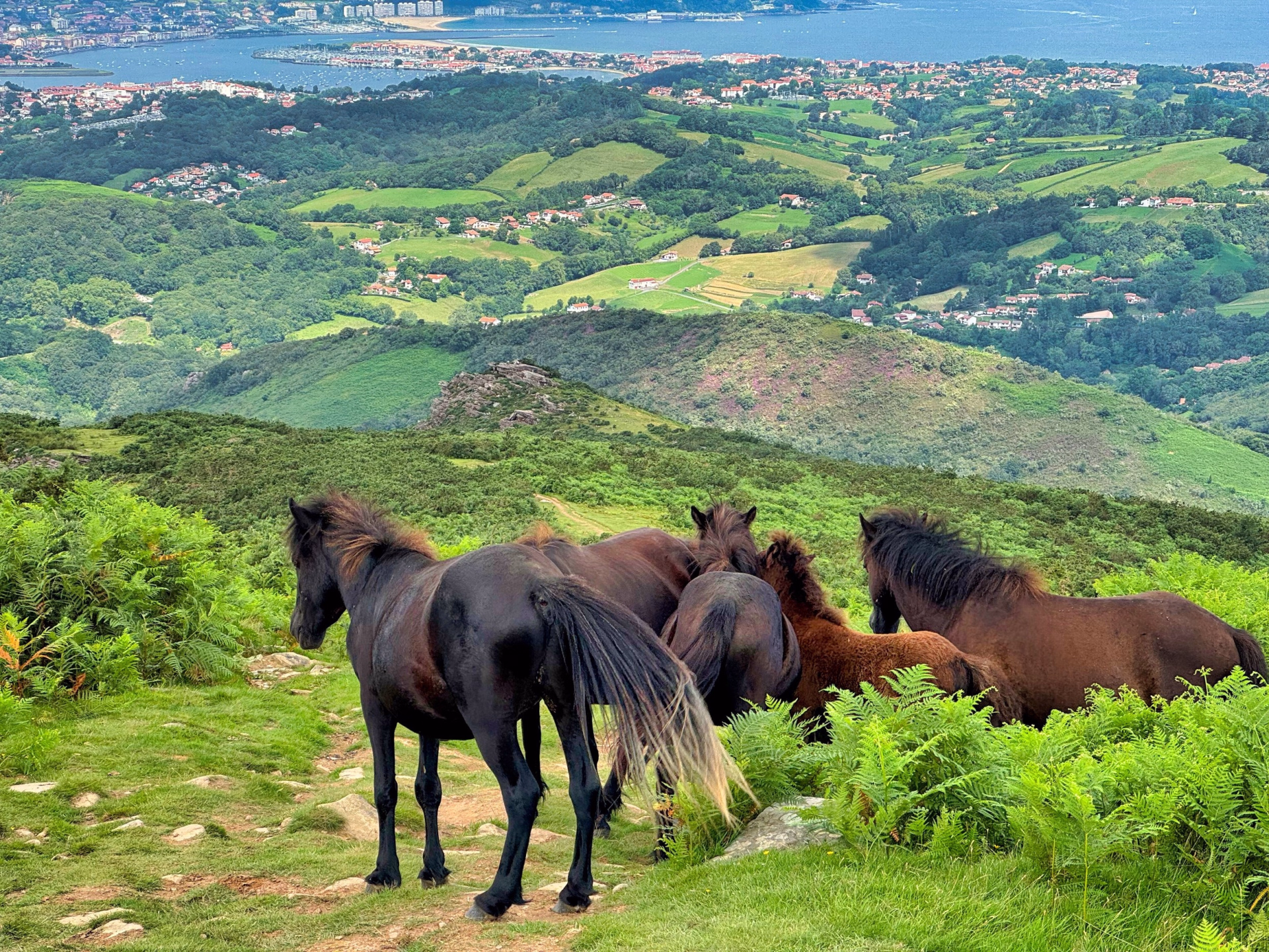 GR10 étape 1 : Hendaye à St Jean Pied de Port