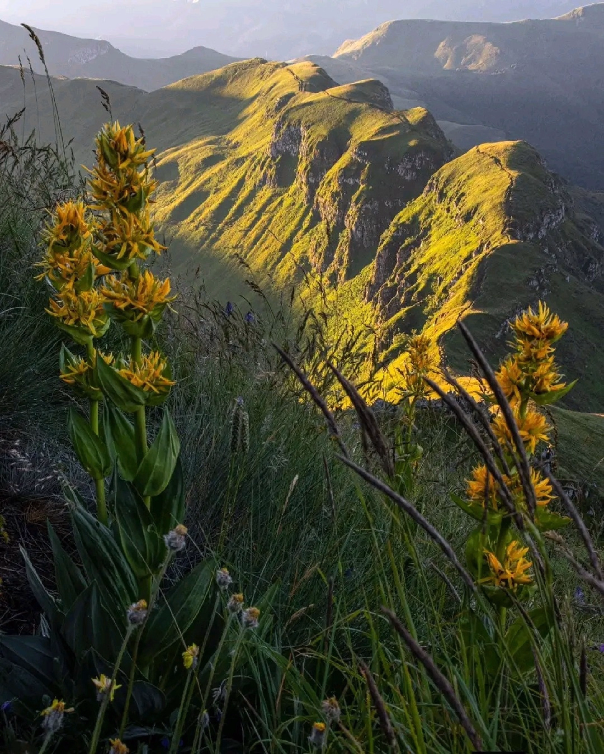 Escapades estivales au cœur du Cantal