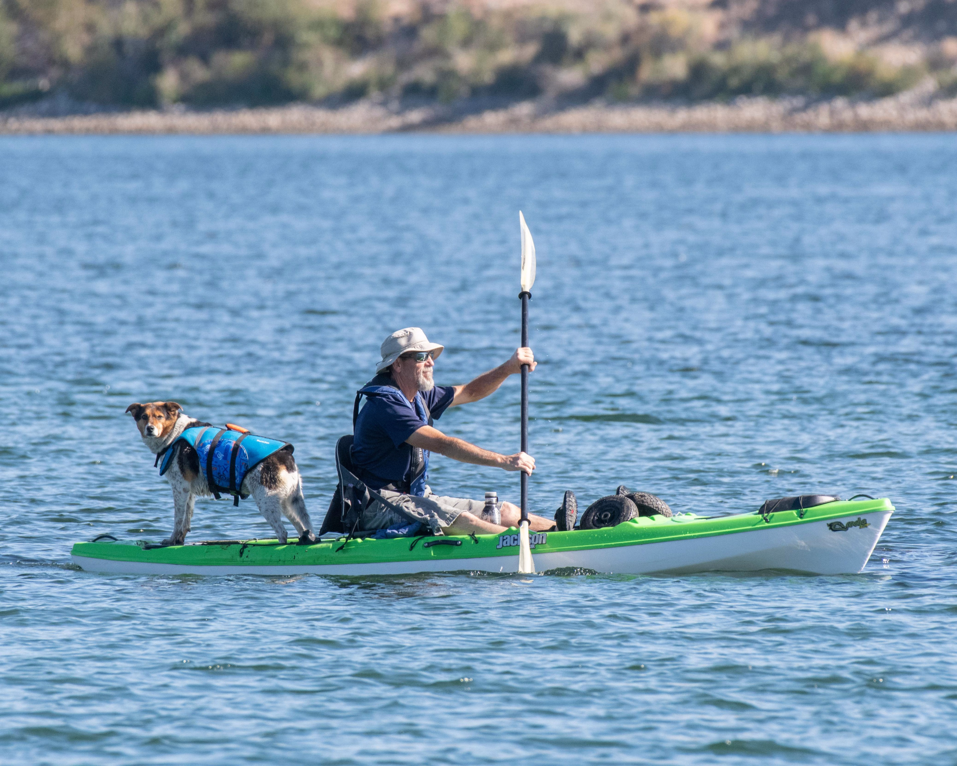 canoe avec son chien