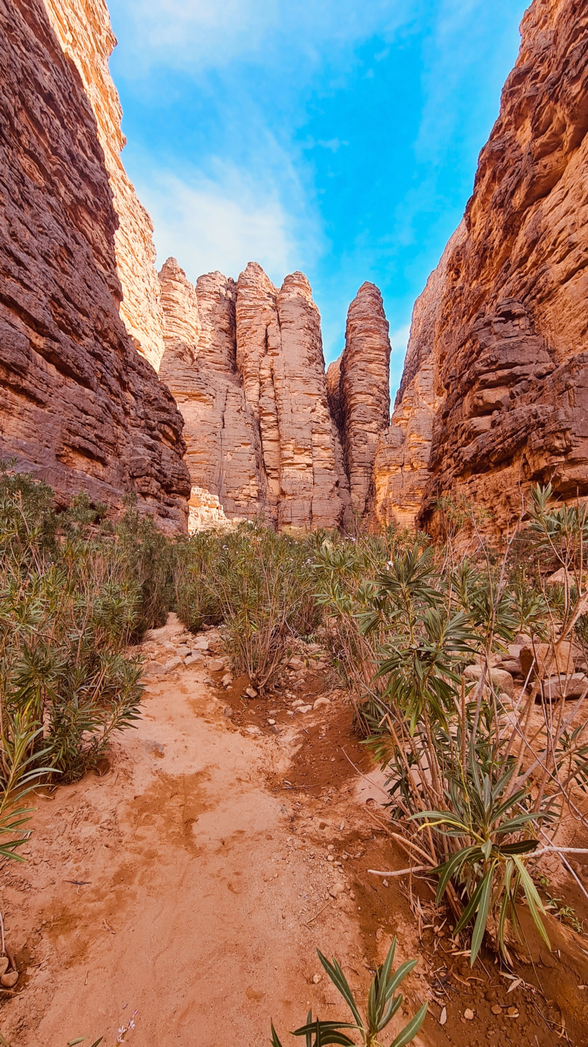 Yoga et aventure douce en Algérie : Sahara, Tassili n’Ajjer, Alger