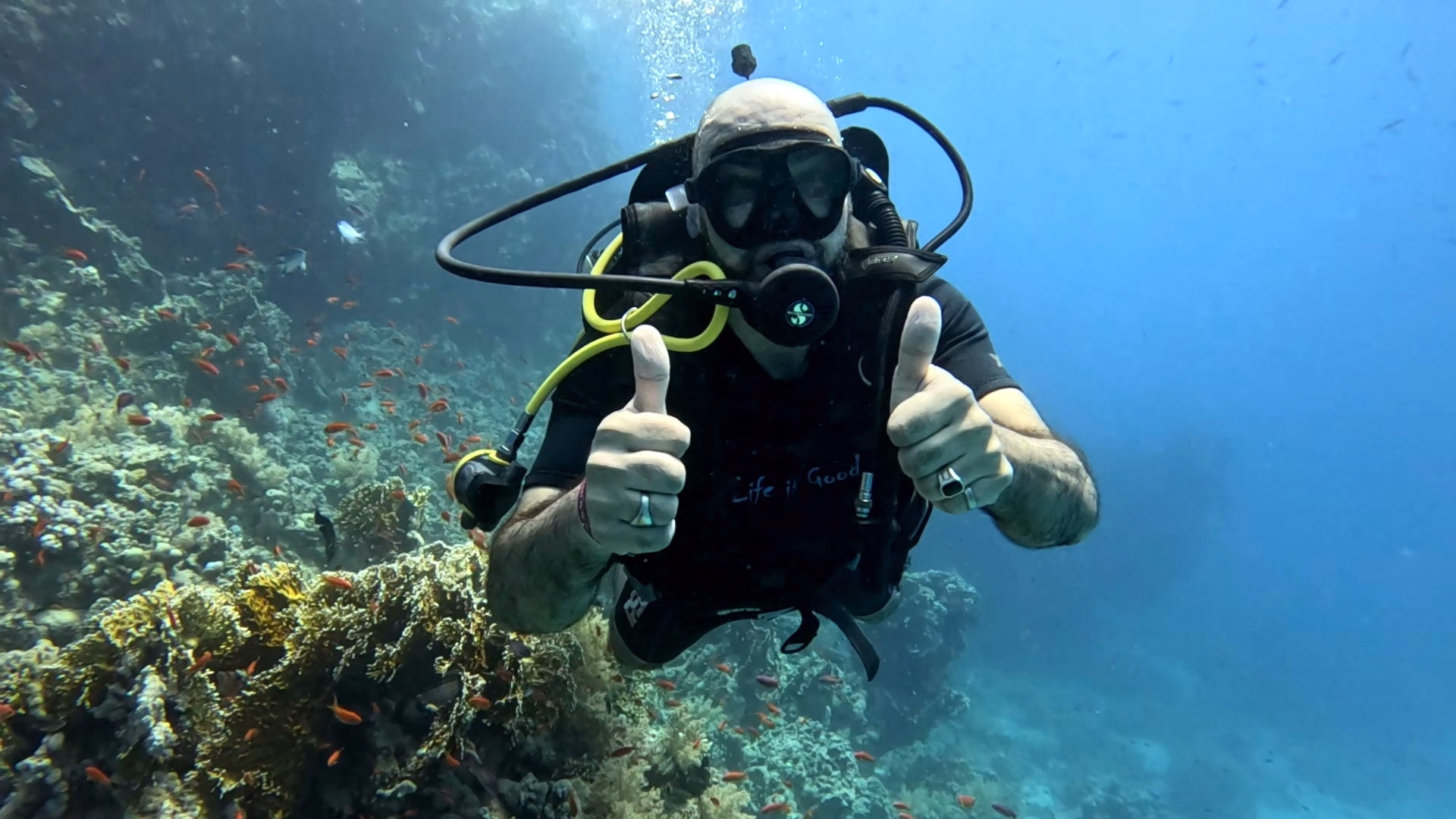 Passez votre PADI dans le parc naturel de Ras Mohammed