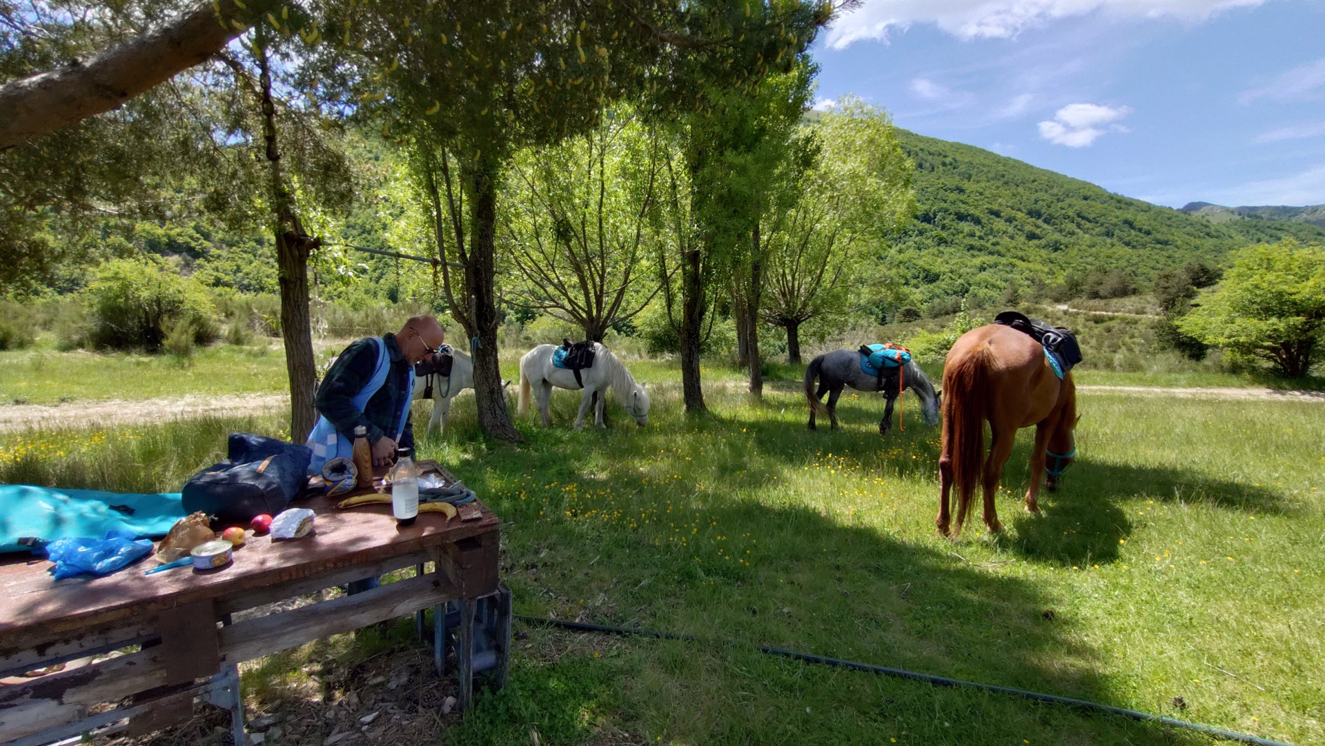 Rando cheval et yoga dans les Hautes-Alpes
