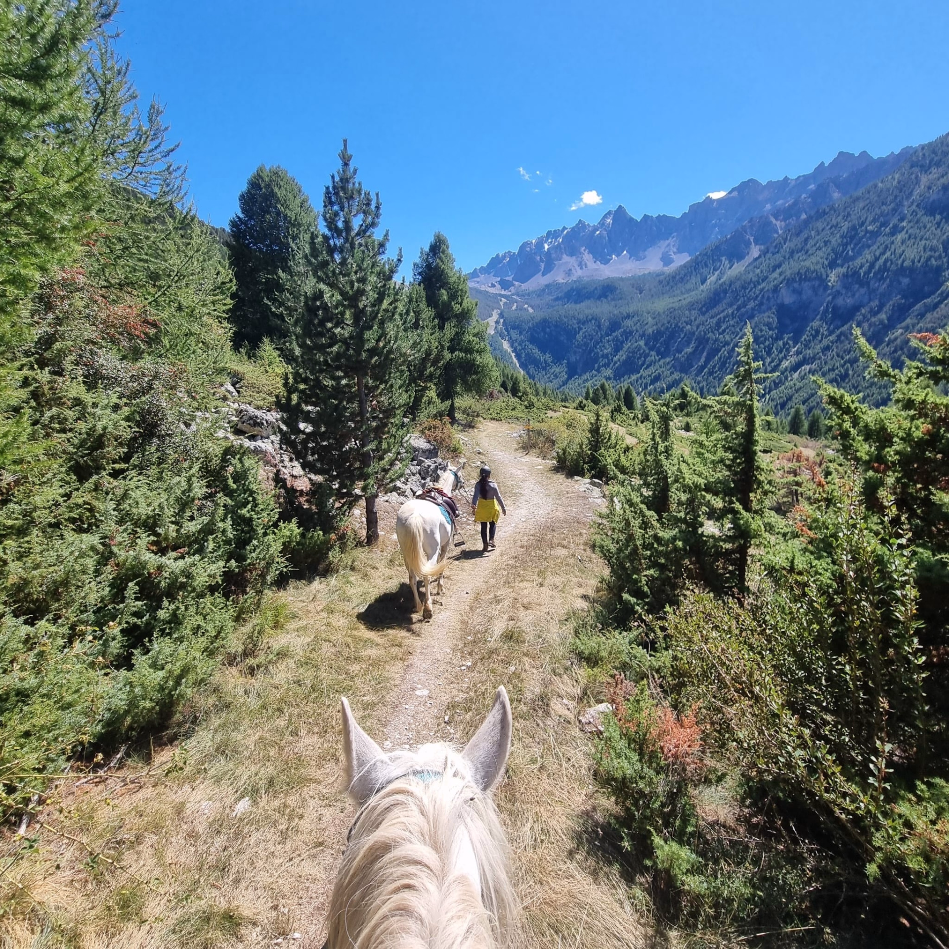 Trek des lacs et panoramas du Viso en Queyras